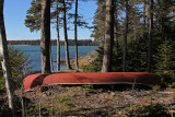 canoe in the woods on an ocean cove