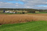Farmland in the Fall