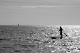 Late Day Long Boarder