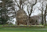 West Chester Country Club Daffodils