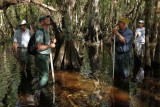 The Joy of Swamp Walking