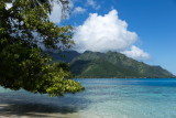 Mooreas TaAhiamanu Beach on Opunohu Bay