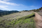 Windy Hill 50% 10-18@10 f7.1 iso100 NEX7 LR shrp 50-1.0-25-0.jpg