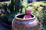 Boy In The Pot