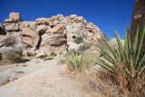 Joshua Tree National Park