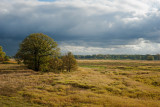 Elbe River Landscape, 2012