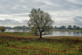 Elbe River Landscape, 2012