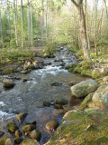 The creek from the bridge leading to the tent sites