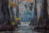 Caddo Lake