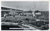 The Gardens, Warners Holiday Camp