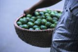 basket of limes