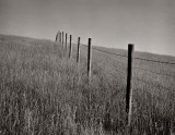 The long fence