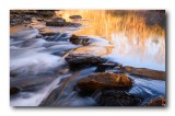 Morning Reflections on Lee Creek