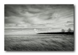 Oklahoma Winter Landscape