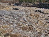 Rapids below falls