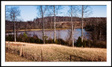 Flooded pasture