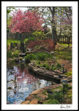 Spring with Pond, Crabtree and Dogwood