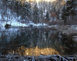 Quiet Silence