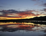 Bosque pond sunset
