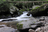 VA stream7011.jpg