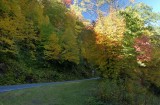 Sun reaching for National Forest Rd-2471.jpg
