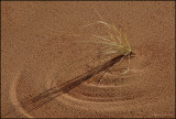 Grass writing in the sand