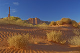 Sand dunes in monument valley