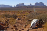 Monument valley view from the skull