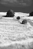 IR KI landscape