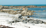 Rocky beach