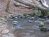 Tjute creek
