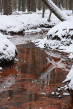 Red brook, snow - Rode spreng, sneeuw