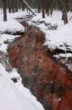 Red brook, snow - Rode spreng, sneeuw