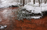 Red brook - Rode spreng