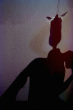 Halo in the Shadow