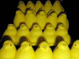 Canadian Peep Army