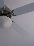 Ceiling Fan #1