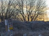 Skunk River Flats 05.JPG