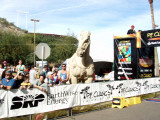 The P.F. Chang horse statue at the finish line