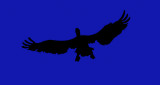 _SOC1409-2.jpg