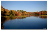 Fall Colors at Wantagh Lake