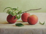 31. Ripened Peaches 12 x 16