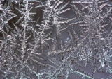 Frosted Window
