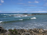 IMG_4733.jpg