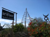 IMG_6348.jpg