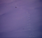 flat-light ski tracks Dec 20