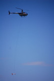 R44 and mag bird
