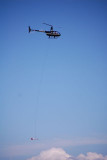 R44 and mag bird