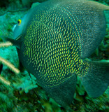 P1110028.jpg