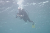 PICT0001.jpg